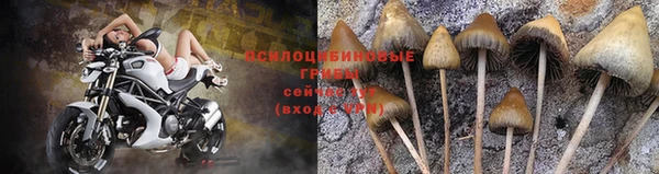 прущие крисы Армянск